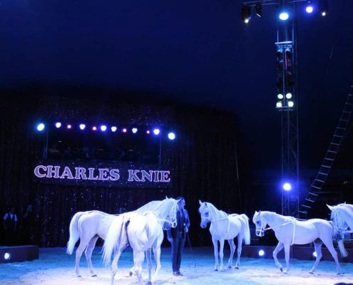 circo charles