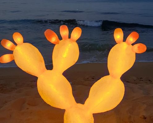 lampade - rocce luminose e fichi d'india