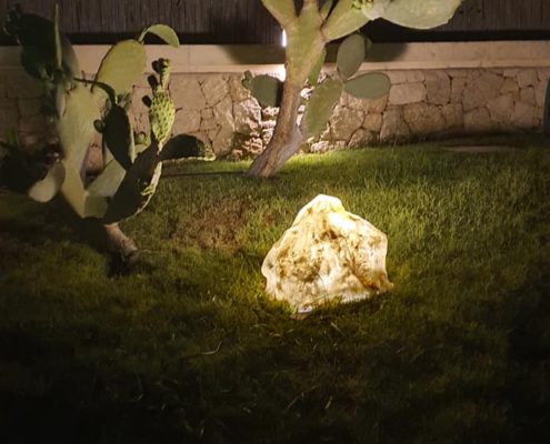 lampade - rocce luminose e fichi d'india