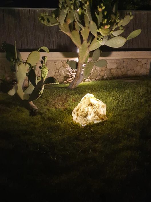 lampade - rocce luminose e fichi d'india