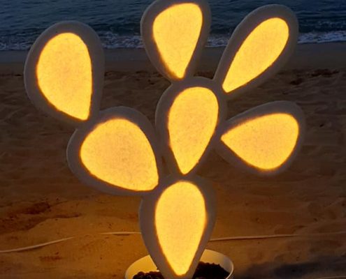 lampade - rocce luminose e fichi d'india