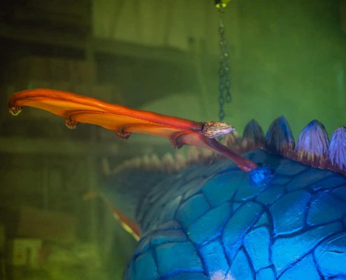drago