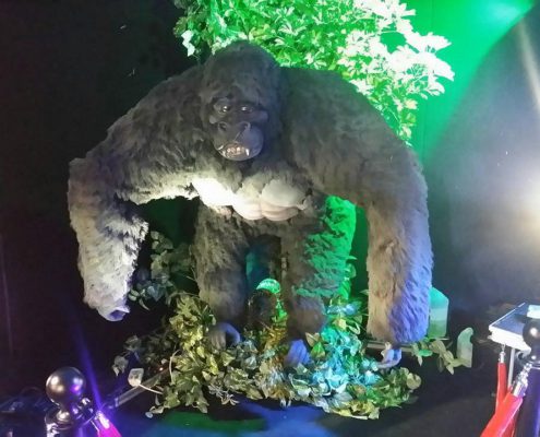 gorilla