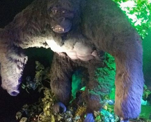 gorilla