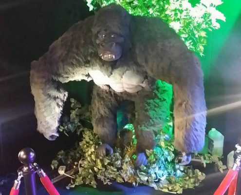 gorilla