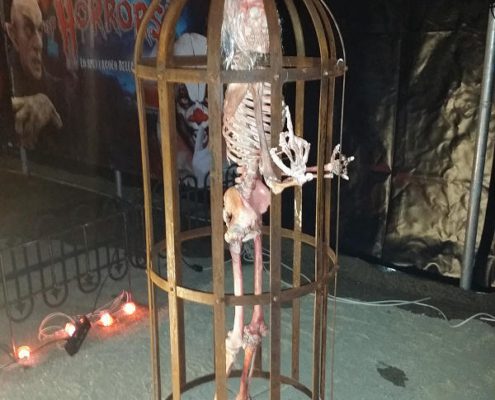 Horror Circus