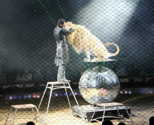 Circo Krone