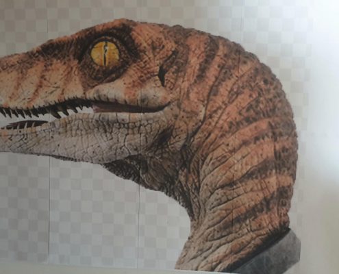 Velociraptor