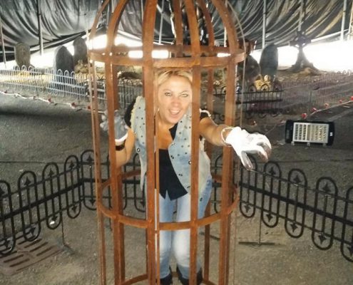 Horror Circus