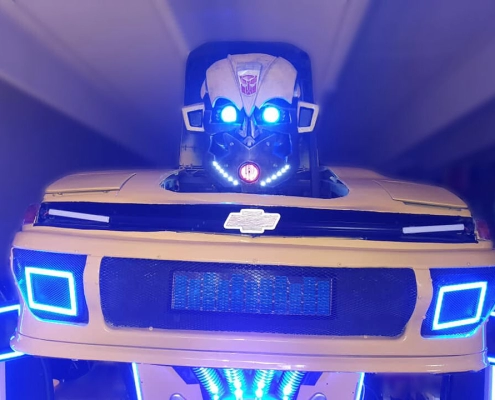 bumblebee 13