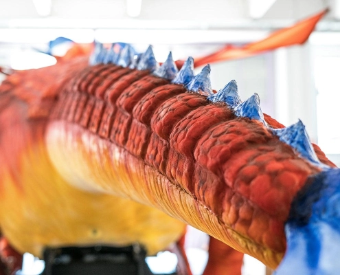 drago 10 metri