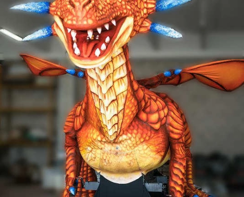 drago 10 metri