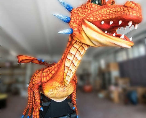 drago 10 metri