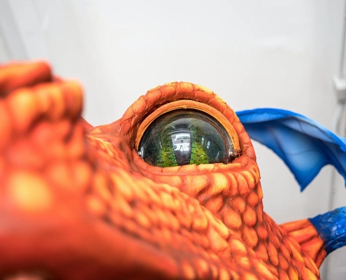 drago 10 metri