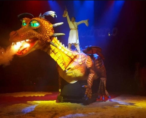 drago 10 metri