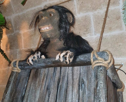 jungle bar