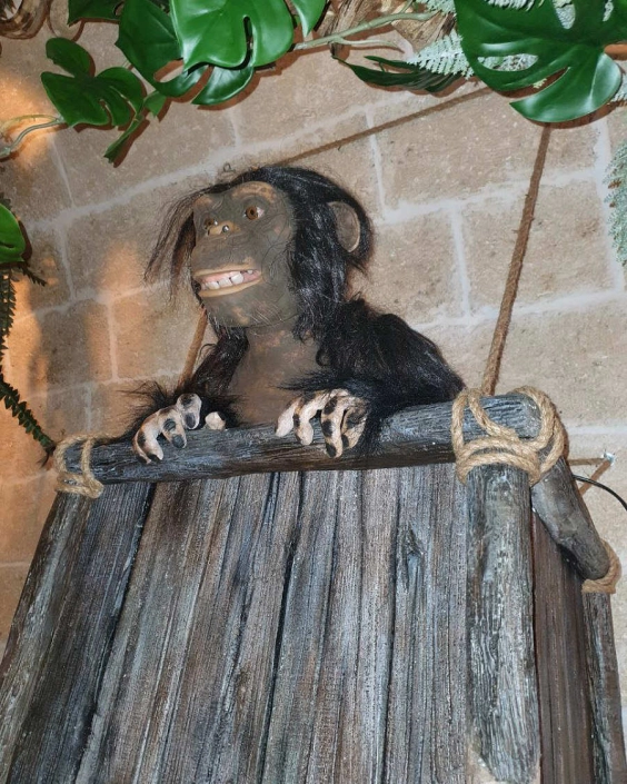 jungle bar