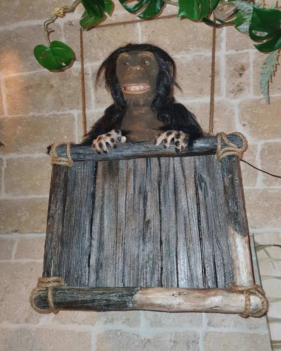 jungle bar