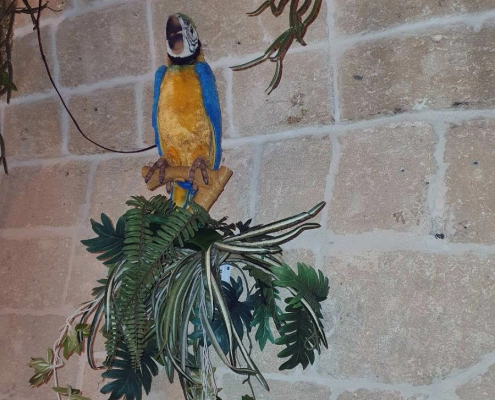 jungle bar
