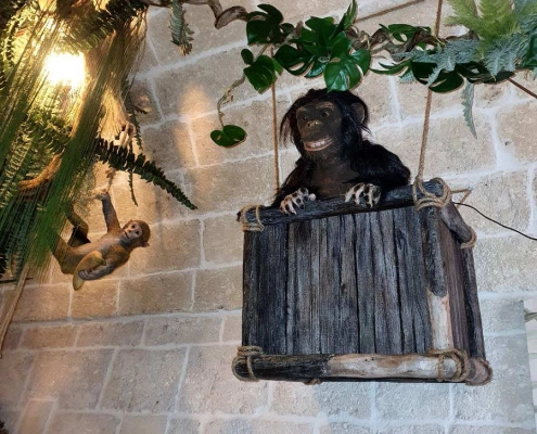 jungle bar