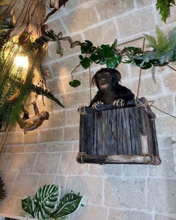 jungle bar