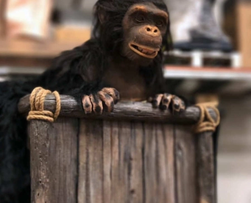 jungle bar
