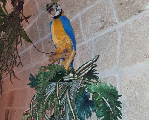 jungle bar