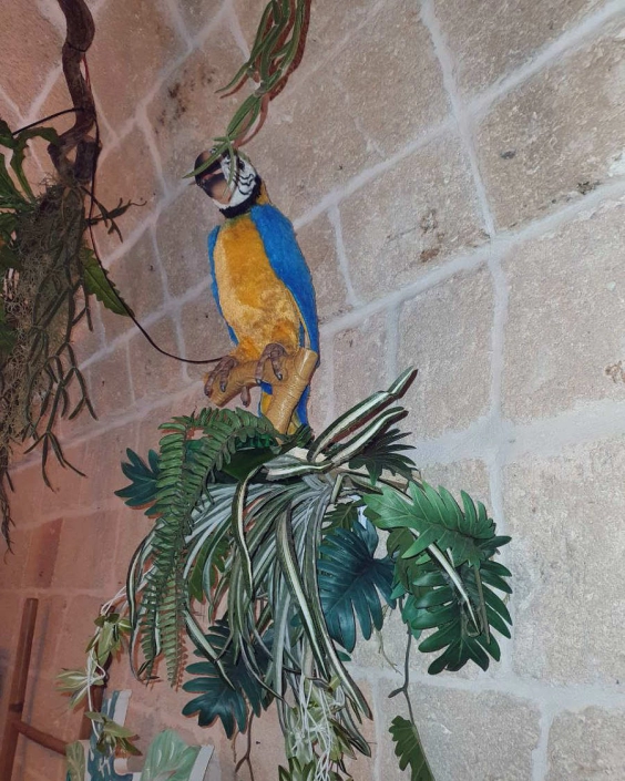 jungle bar
