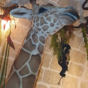 jungle bar