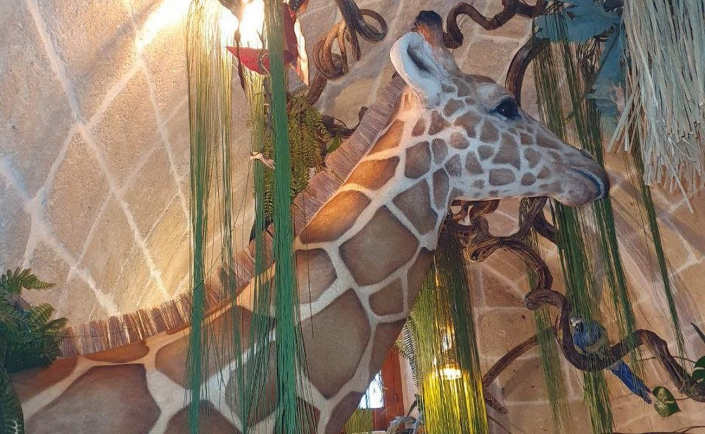 jungle bar