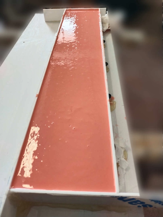 Stampi gelato in silicone