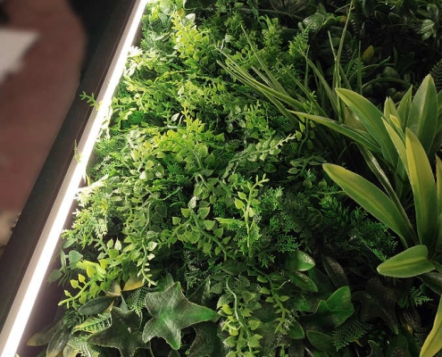 Giardino verticale