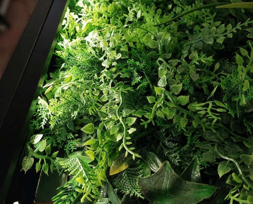 Giardino verticale