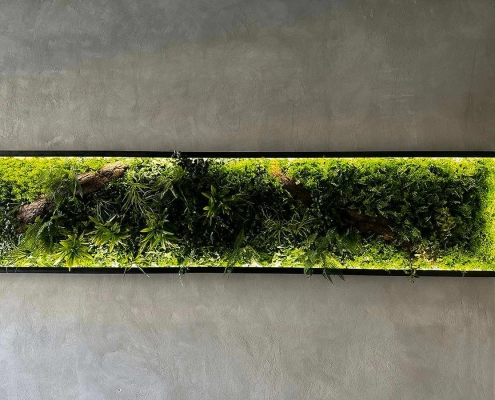 Giardino verticale