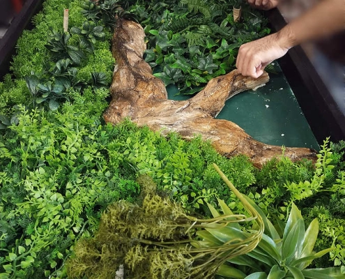 Giardino verticale