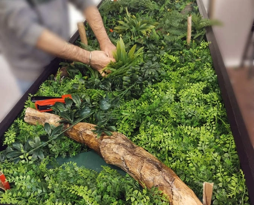 Giardino verticale