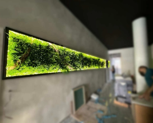 Giardino verticale