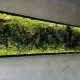 Giardino verticale