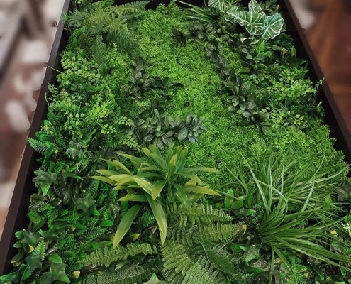 Giardino verticale
