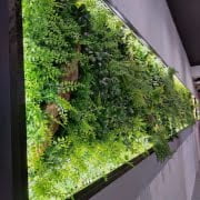 Giardino verticale