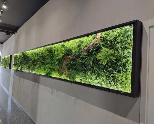 Giardino verticale