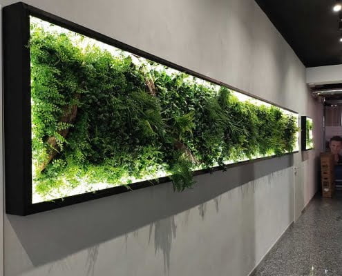 Giardino verticale