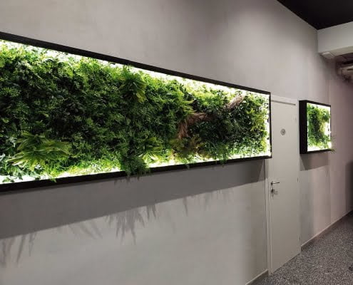 Giardino verticale