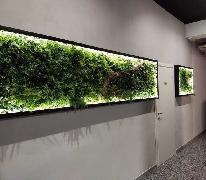 Giardino verticale