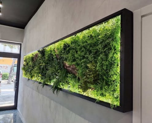 Giardino verticale