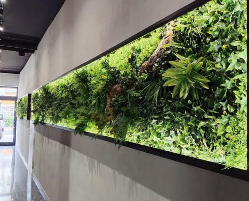 Giardino verticale