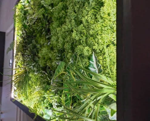 Giardino verticale