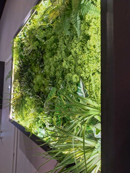 Giardino verticale