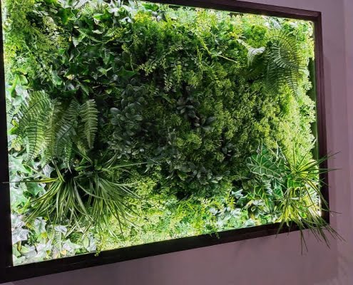 Giardino verticale