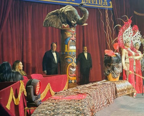 Totem elefante Totem rinoceronte